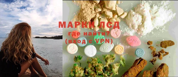 прущие грибы Баксан